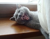 hihihihi :)