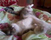 Zzzzz...