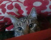 O.O
