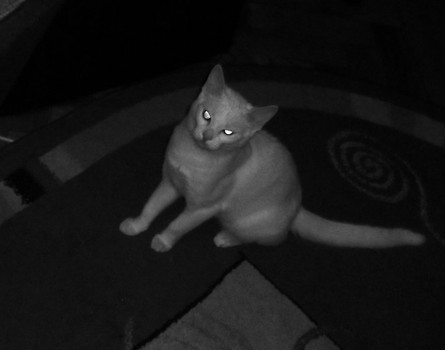 złoooo
