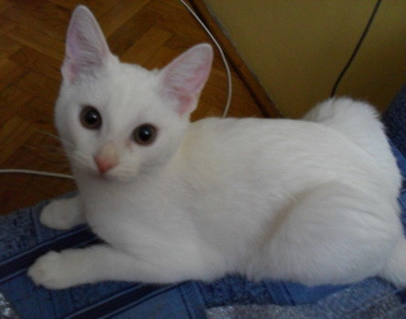 moja kanapa