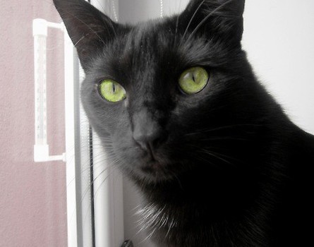 Nox
