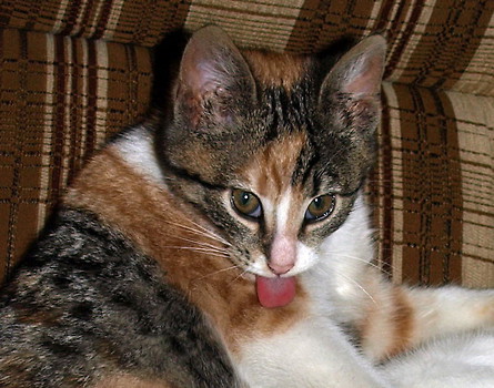 Toaleta :P