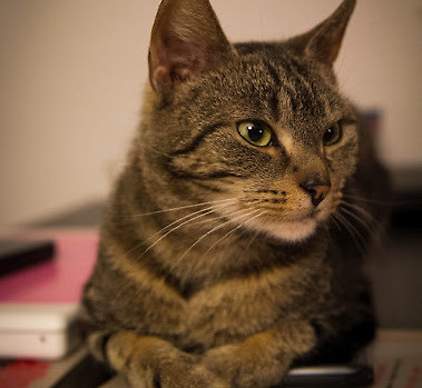 Lili