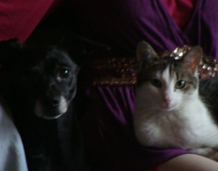 Friends