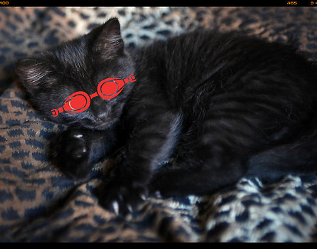 glasses at night