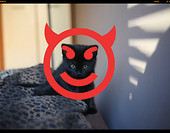 666