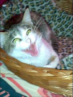 haha