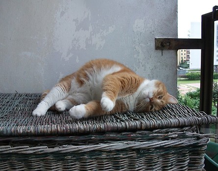 Słodki relax :)