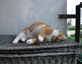 Słodki relax :)