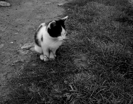 mały :*