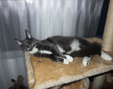 Relax po zabawie...