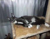 Relax po zabawie...