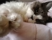 <3