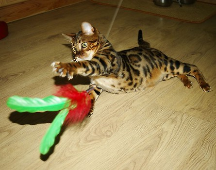 Mam to...! :)