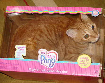 my little pony:))