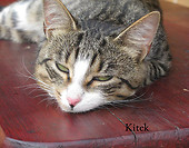 KITEK