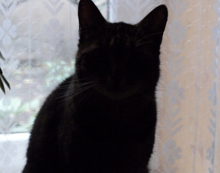 kacper