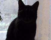 kacper