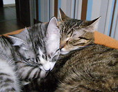 Lena & Frank