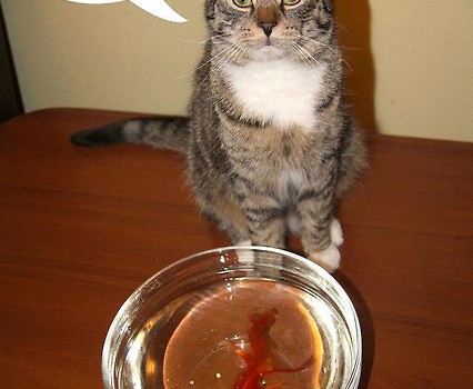 A pieprz?