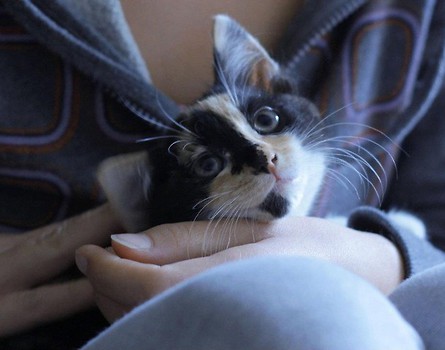 mrrrrrrrrr