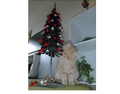 x-mas