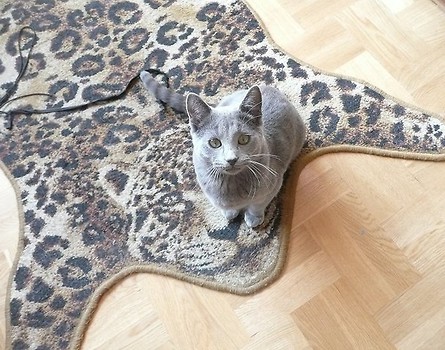 Pobaw się ze mną :)