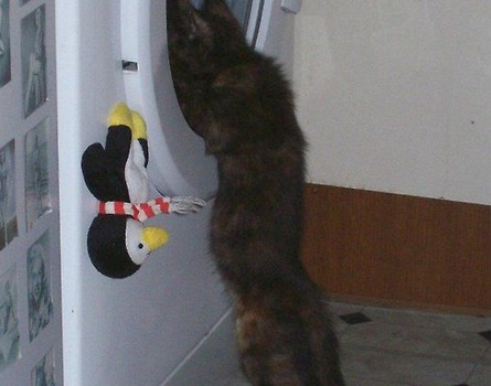 Pralka jest taka ciekawa!