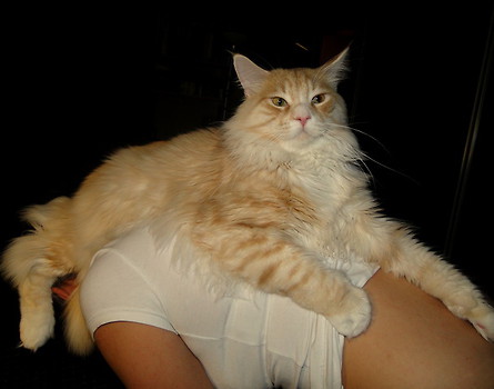 Lubie plecy :)
