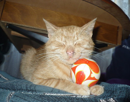 Euro 2012