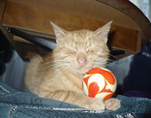 Euro 2012