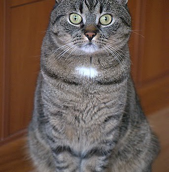 gruszka