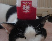 Kto przegra euro :D