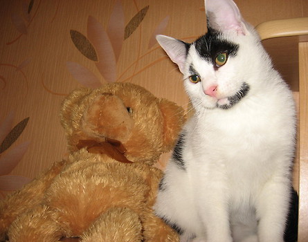 Mruczyś