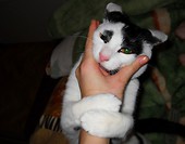 Wampirek ;)