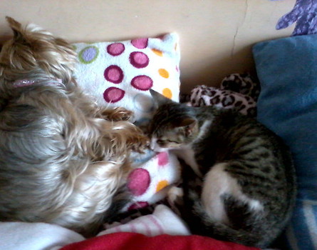 Lonka&Sharmi