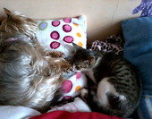 Lonka&Sharmi