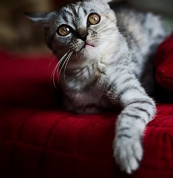 photo by Dobrochna Babijew