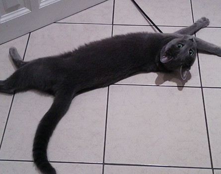 Ivan;)