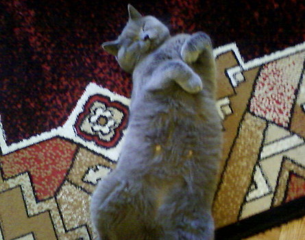 Figa:)