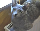 Fiodor :)