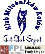 Międzynarodowa Wystawa Kotów  Rasowych CC Sopot