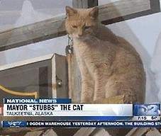 Riko opowiada o Stubbsie - kocie burmistrzu