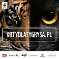 Nakręć swojego kota na pomoc tygrysom!