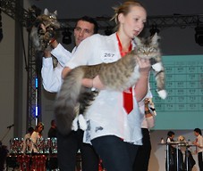 World Cat Show - Poznań 2011